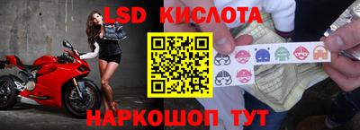 эйфоретик Будённовск