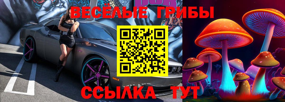 Псилоцибиновые грибы мухоморы Саранск