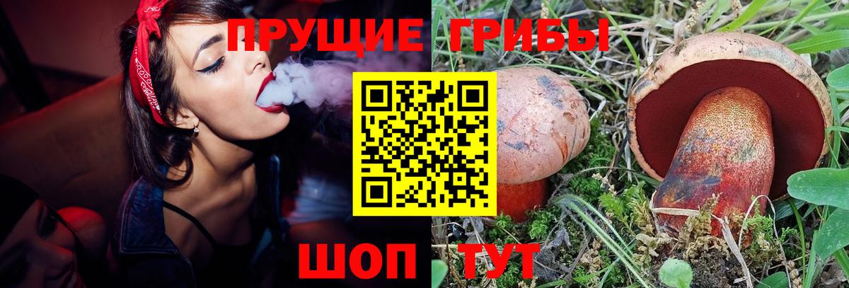наркотики  Вход с VPN  Саранск  Галлюциногенные грибы GOLDEN TEACHER 