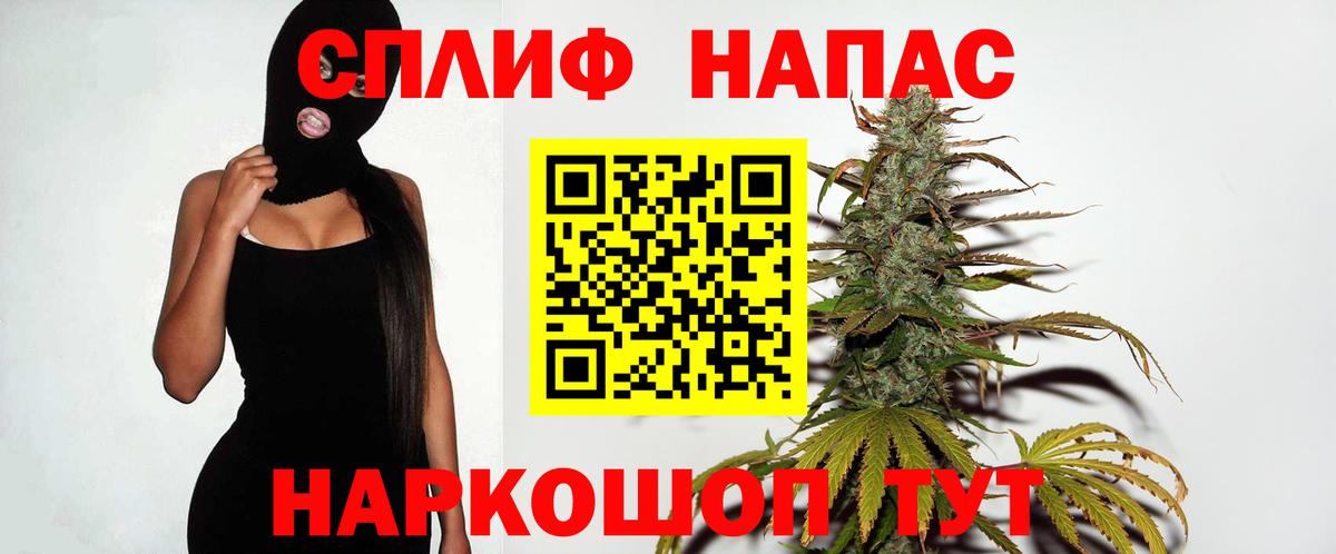 Бошки Шишки планчик  Марихуана ГИДРОПОН  Каннабис сатива  Саранск  Шишки марихуана конопля  Вход с VPN 